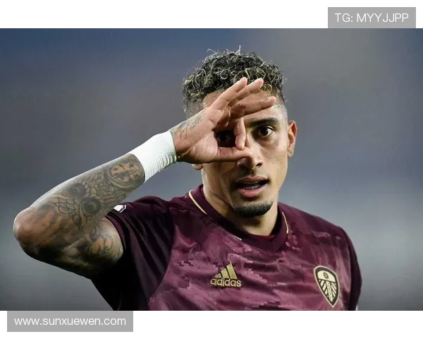 拉菲尼亚巴萨生涯表现稳健但难掩遗憾