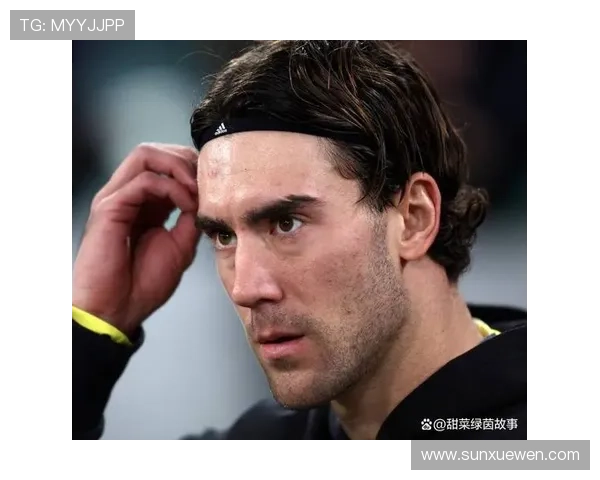 弗拉霍维奇巅峰期成长：从潜力中锋到亿元先生解析